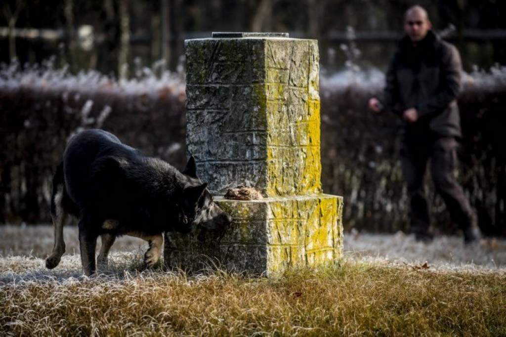 KNP megÃ¡llapodÃ¡s 1 2018 1208.jpg (800 x 533 px)