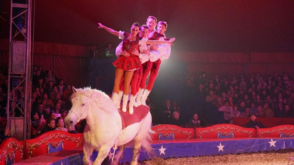 Félegyházára látogat a 25 éves Magyar Nemzeti Cirkusz