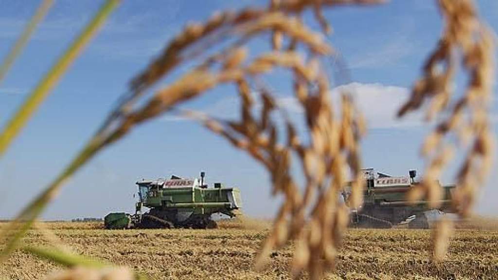 29 milliárd forintos agrárhitelprogramot indít az MFB
