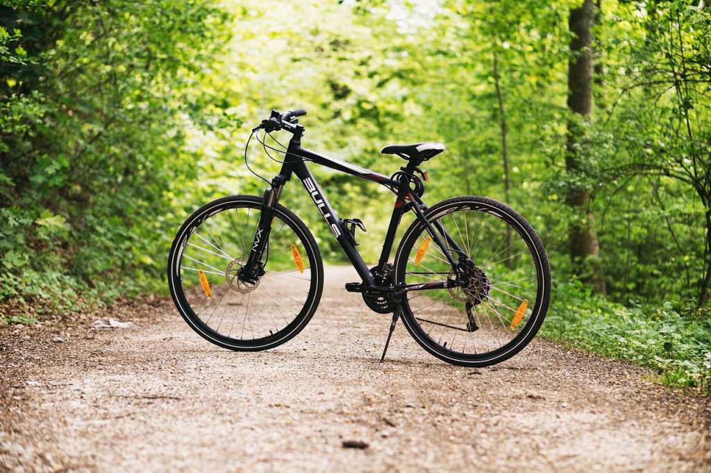 Új szolgáltatásokkal bővült az EuroVelo 13 kerékpáros útvonal Bács-megyei szakasza