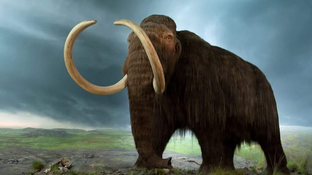 Mit mesélnek a régmúlt tárgyai? – Mamut vagy mammut?