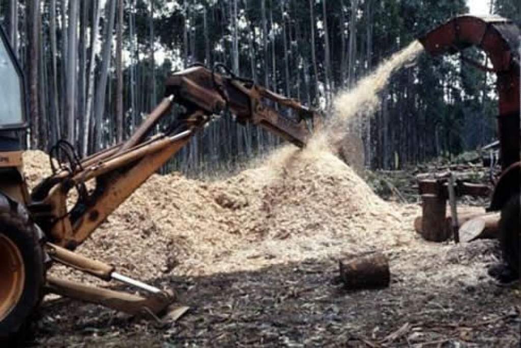 Új biomassza-tüzelésű kazán készülhet Félegyházán