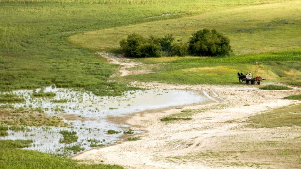 Megmenekülhet az elsivatagosodástól a Duna-Tisza közi Homokhátság