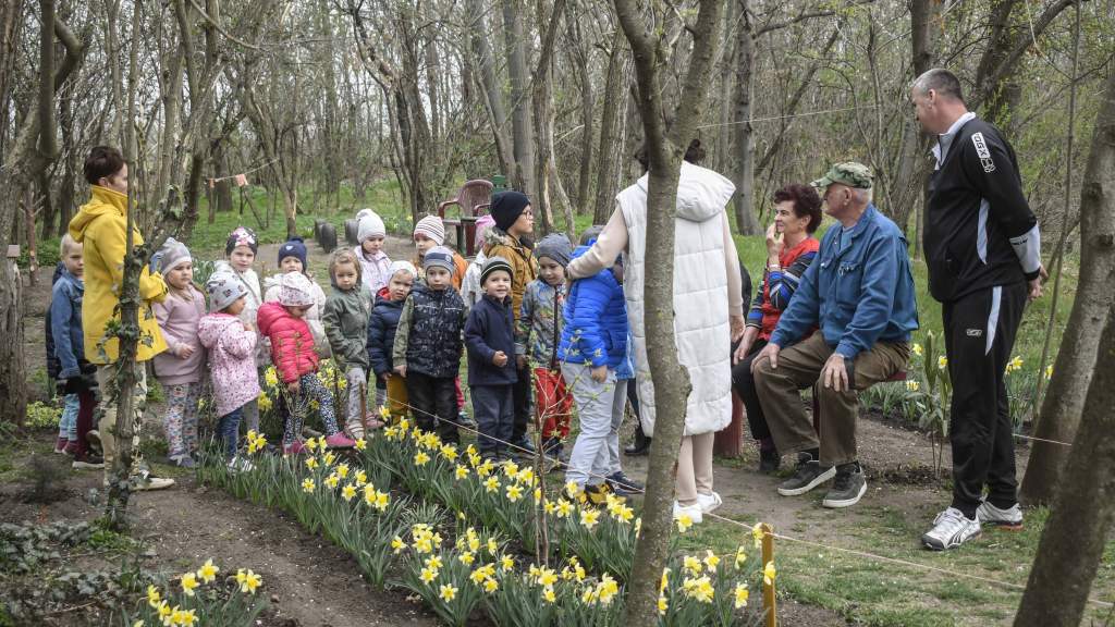 Illatos kertet varázsolt a Balassa és Radnóti utca sarkán a Vidéki-házaspár