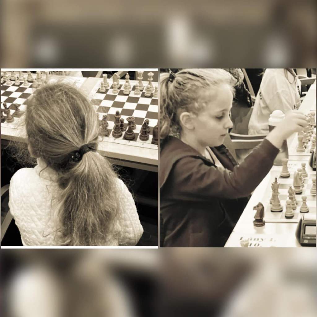 Szép siker az országos sakkolimpián