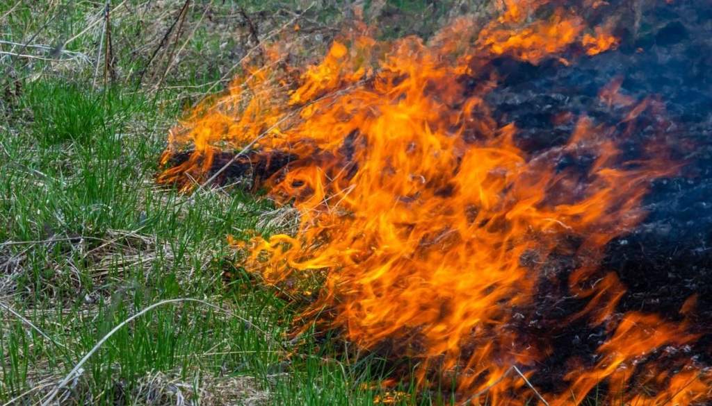Ismét tűzgyújtási tilalom lesz Bács-Kiskunban