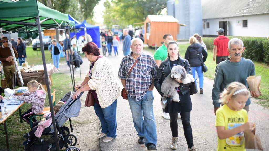 Az eső sem szegte kedvét a Mezgé Piknik látogatóinak