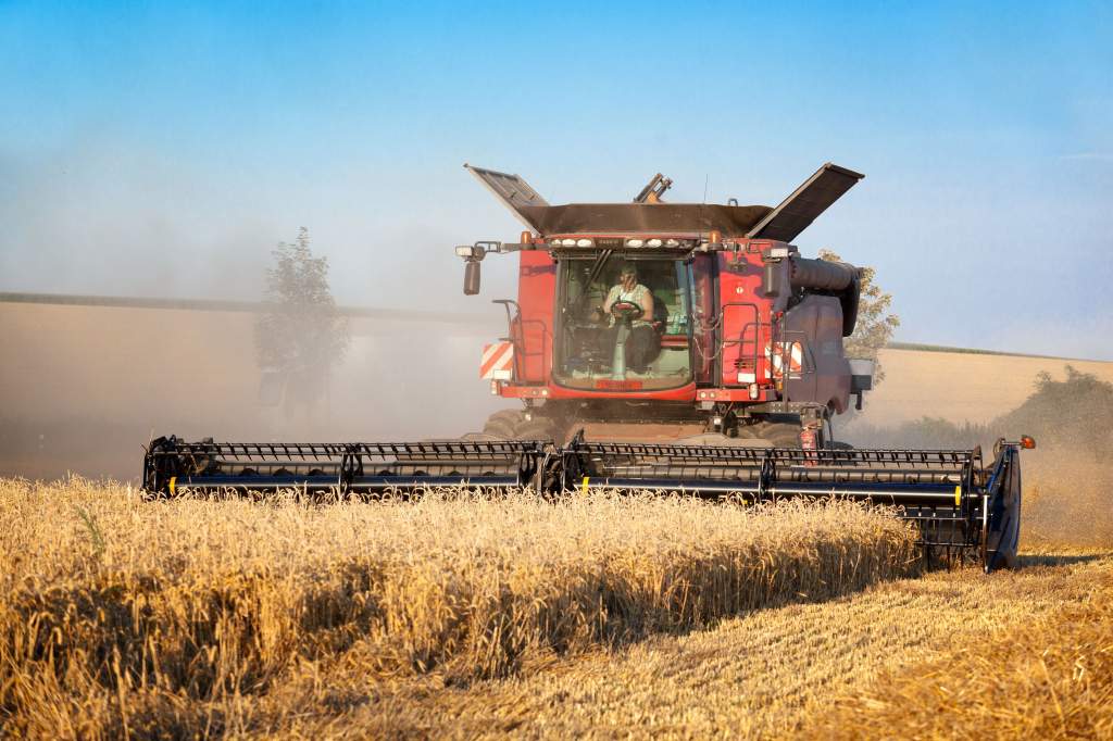 Eredményes évet zár az agrárium