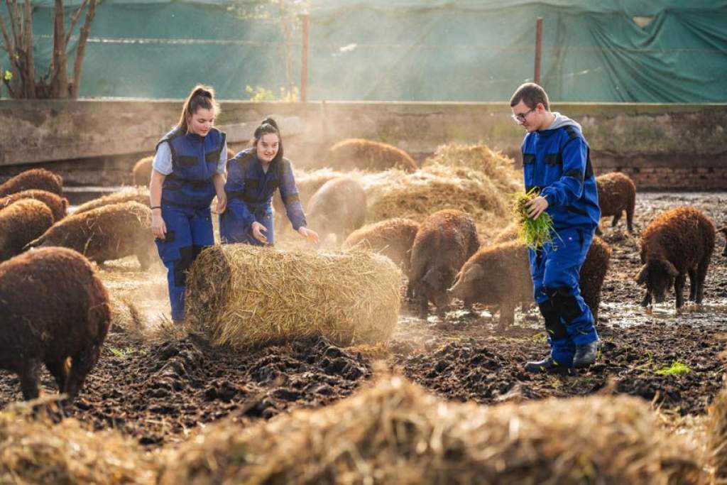 Egyre népszerűbb az agrárszakma a fiatalok körében