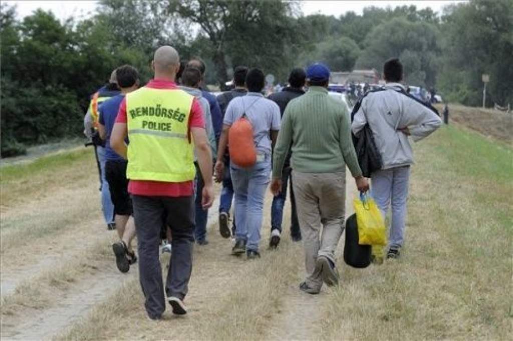 A bevándorlók miatt figyelmeztet a Csongrád Megyei Kormányhivatal
