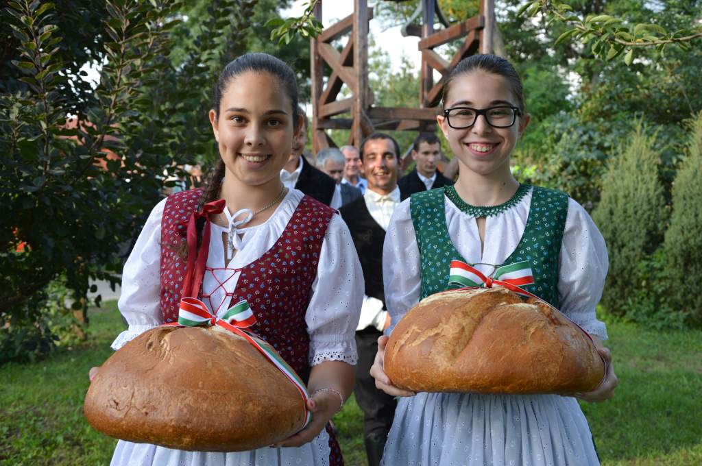 Az új kenyér ünnepe Haleszban és Selymesben