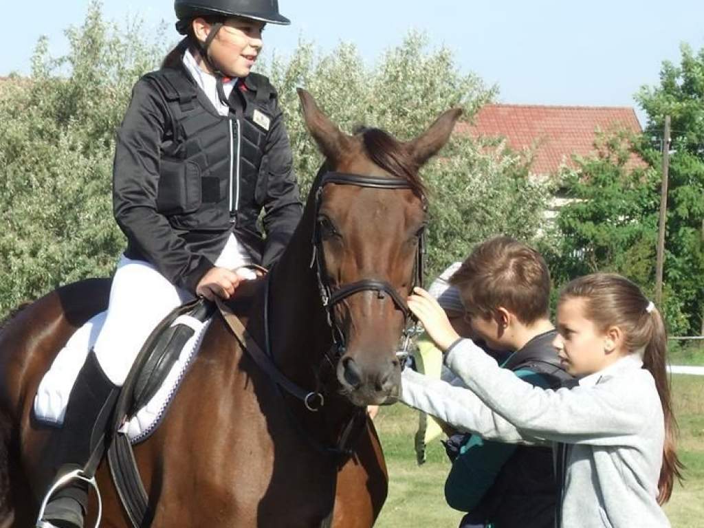 A fiatalok körében népszerű a lovassport