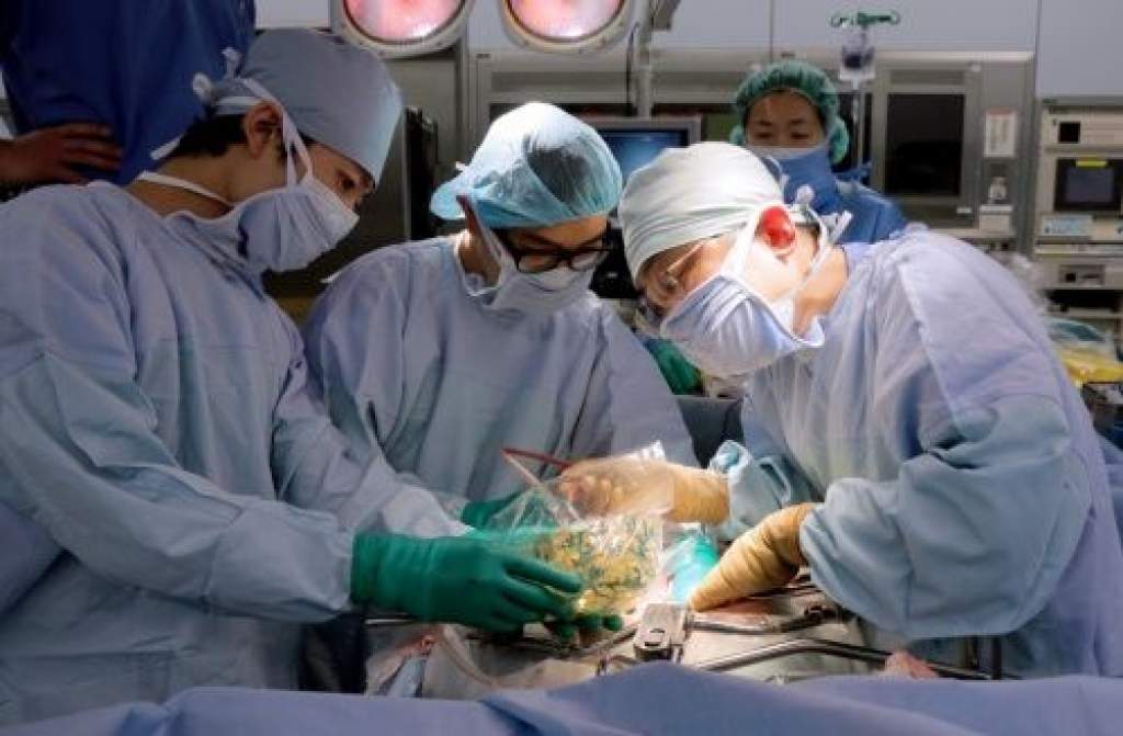 Először hajtottak végre tüdőtranszplantációt Magyarországon