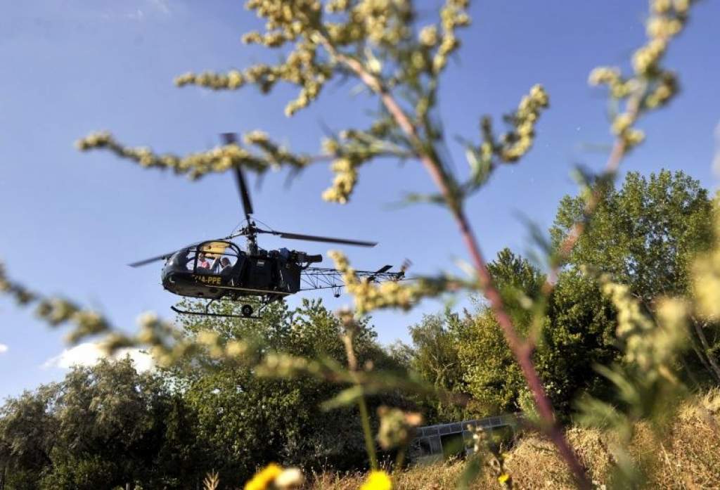 Helikopteres parlagfű-felderítés Bács-Kiskun megyében