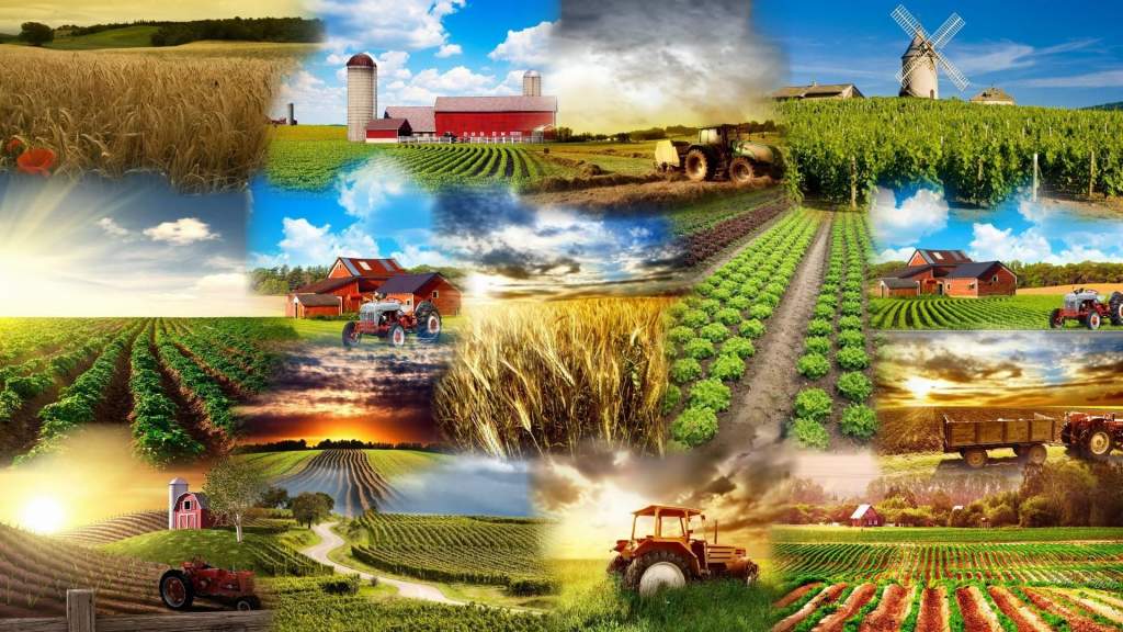 December elejéig lehet pályázni agrár-környezetgazdálkodási támogatásra