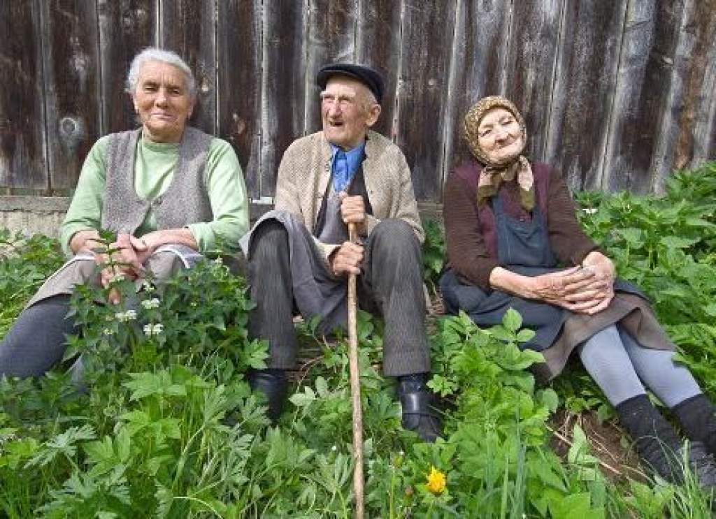 Nagyszüleink bölcsessége - pályázat nyugdíjasoknak