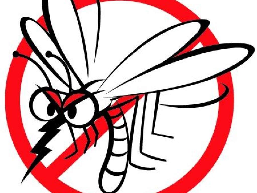 Nem zavarják a szúnyogok az augusztus 20-i ünneplést Félegyházán