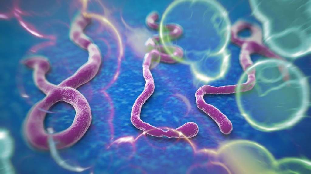 Óvintézkedések vannak Magyarországon is az ebola miatt