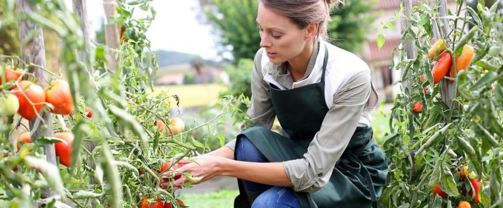 Keresik a legjobb női gazdálkodókat