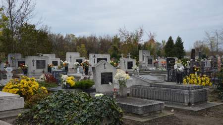 DSC_0008.JPG (6016 x 4000 px)